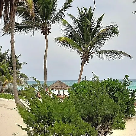 Bt Live Located At The Party Zone Hotel Tulum