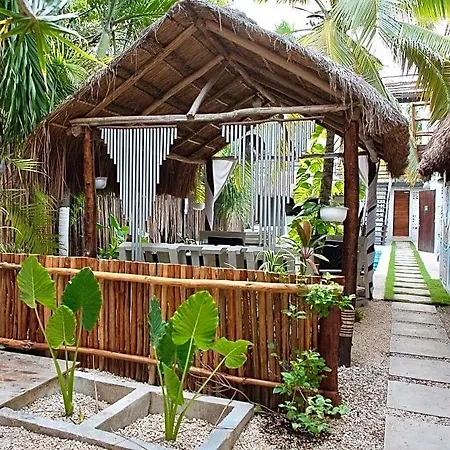 Residencia Gorila Tulum