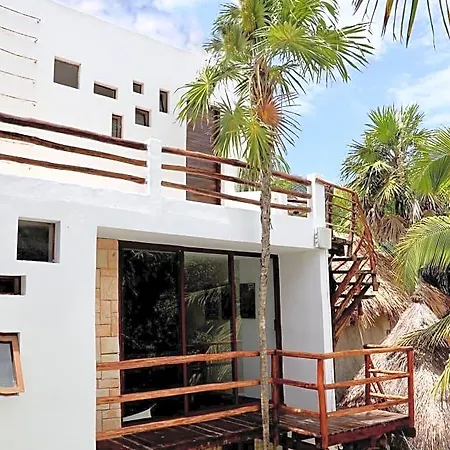 Residencia Gorila 2*