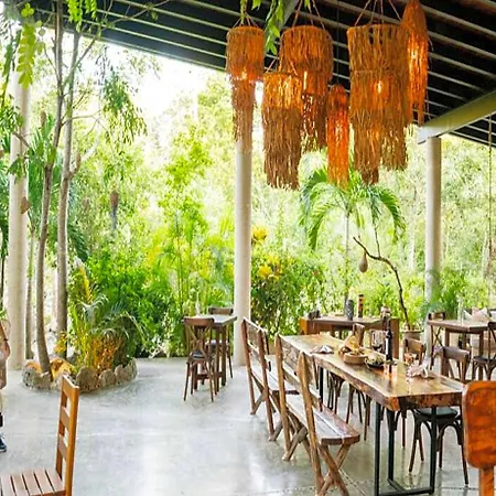 Pepem Holistic Experience Tulum