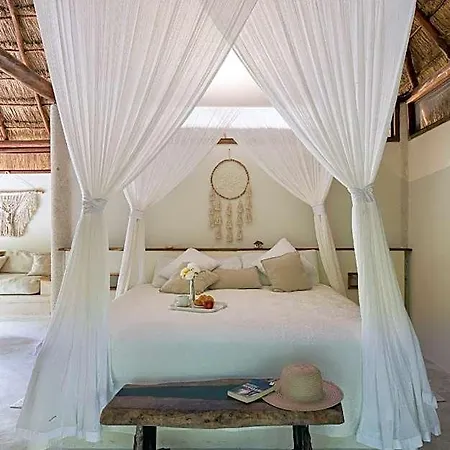 Pepem Holistic Experience Tulum