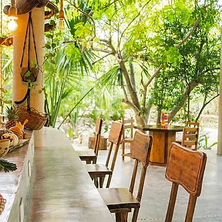 Pepem Holistic Experience Tulum