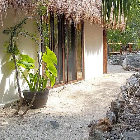 Pepem Holistic Experience