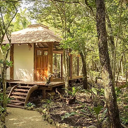 Hotel Pepem Holistic Experience