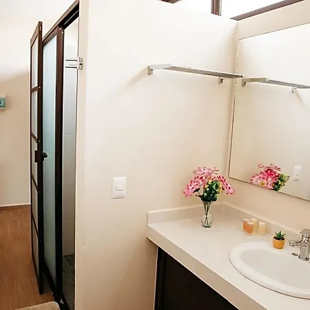 Lechuga De Mar Relaxing Getaway &pool Tulum