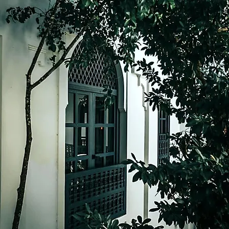 Hotel Yum Kaax Boutique