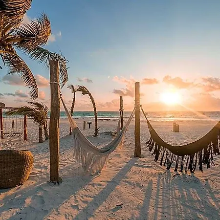 Alito Tulum, Formerly La Diosa 3*