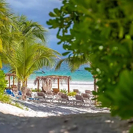 Hotel Alito Tulum, Formerly La Diosa Tulum