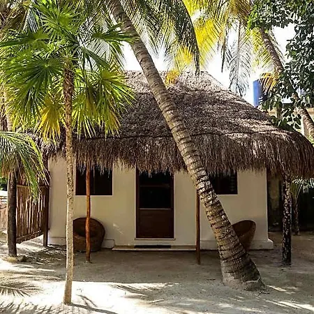 Alito Tulum, Formerly La Diosa