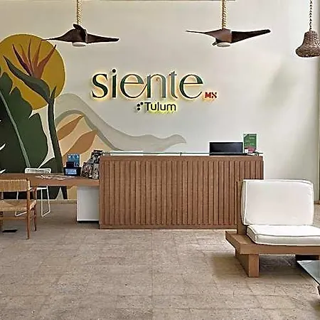 Hotel Siente & Cenote Club 4*