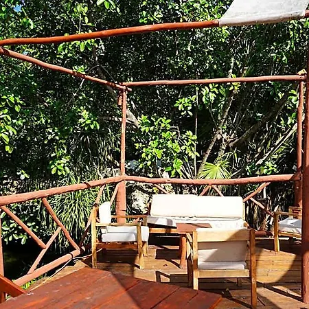 Hotel Siente & Cenote Club 4*