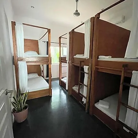 Chill Hostel