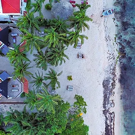 Casa Colibri Tankah Bed & Breakfast Tulum