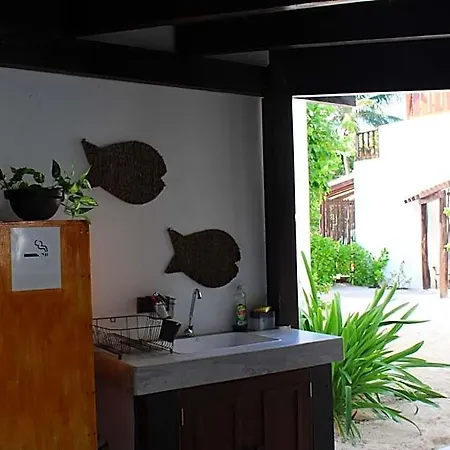 Bed & Breakfast Casa Colibri Tankah Tulum