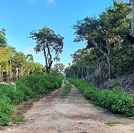 Energy Holistic Ranch * Tulum