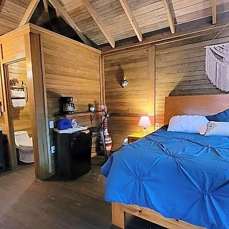 Energy Holistic Ranch *