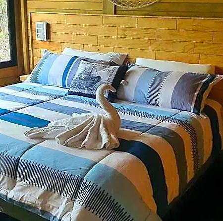 Energy Holistic Ranch *
