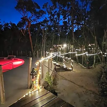 Energy Holistic Ranch *