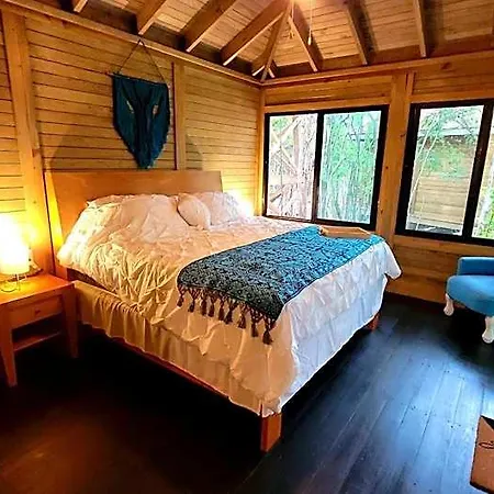 Energy Holistic Ranch *