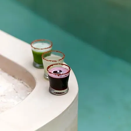 Zereno Boutique Club Access Hotel Tulum