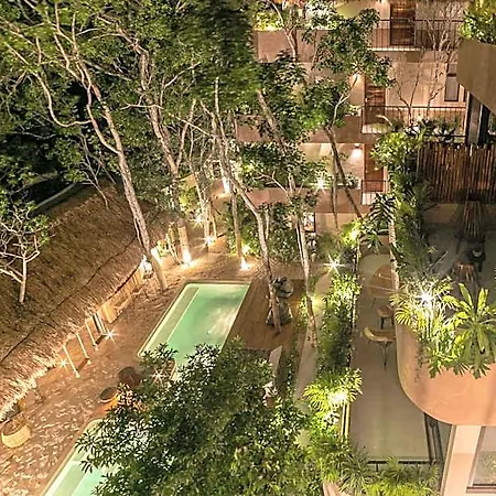 Zereno Boutique Club Access