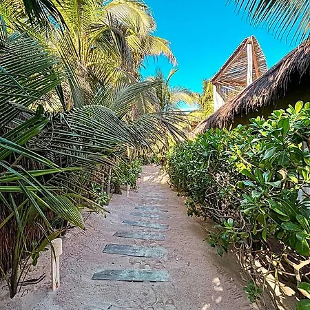Orchid House (adults Only) Hotel
