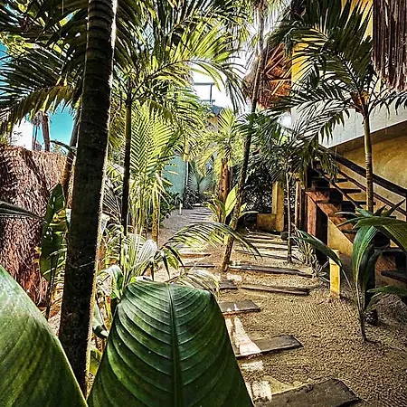 Orchid House (adults Only) Hotel 4*