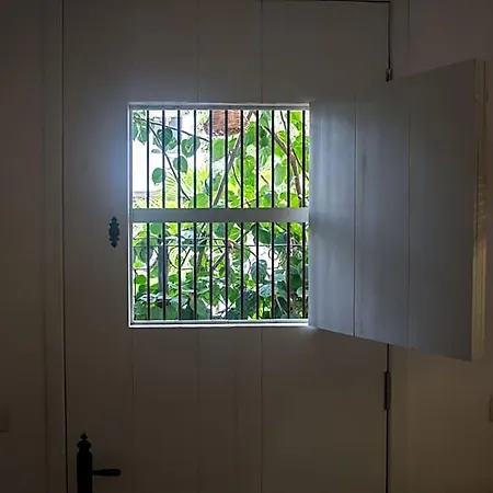 Livetulum 4*