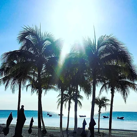 El Paraiso 4*