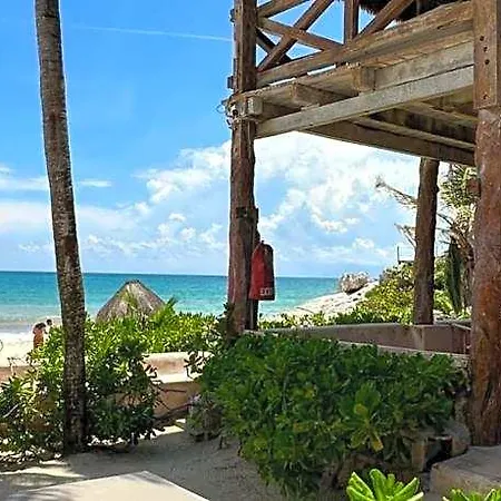 La Conchita (adults Only) 4* Tulum