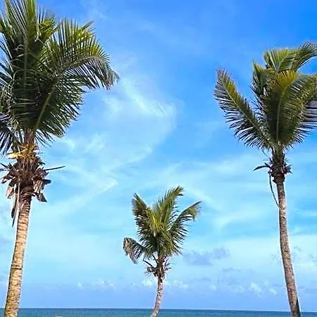 Hotel La Conchita (adults Only) Tulum