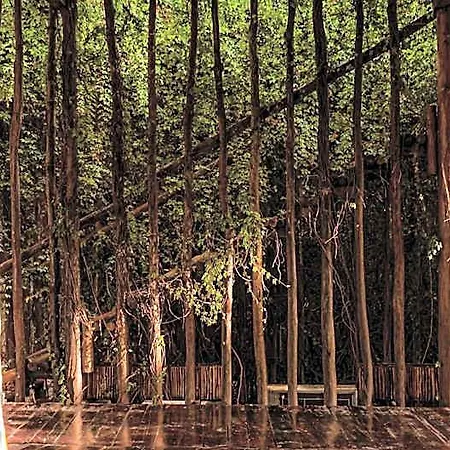Hotel Casa Teka - Boutique & Cenote