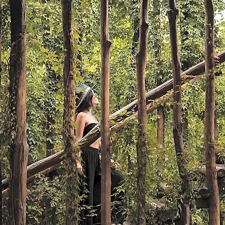Casa Teka - Boutique & Cenote 4* Tulum