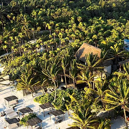 Hotel Nest 4*