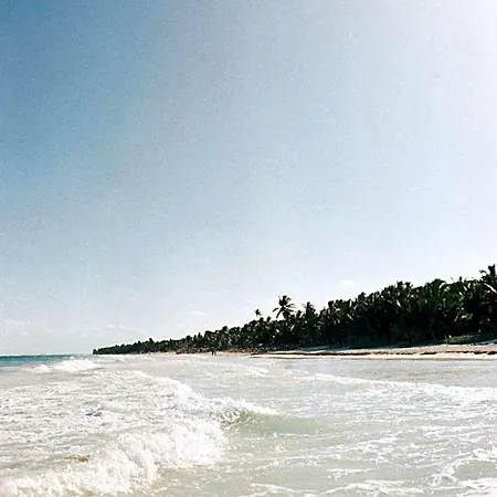 Nest Hotel Tulum