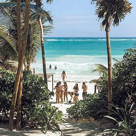 Nest 4* Tulum