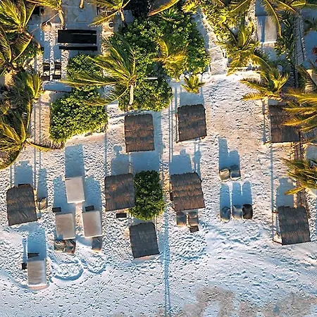 Nest Hotel