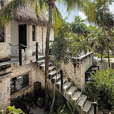 Nest Tulum