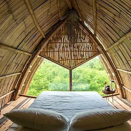 Mamasan Treehouses & 4*