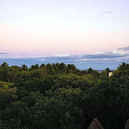 Mamasan Treehouses & 4*