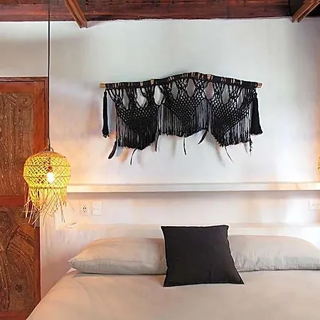 Hotel Mohave Jungle 2*