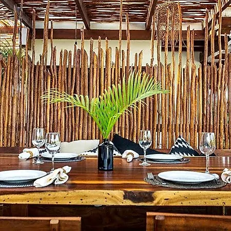 Hotel Mohave Jungle 2*