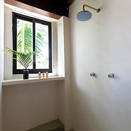 Mohave Jungle Hotel Tulum