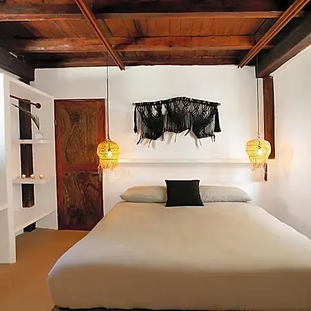 Mohave Jungle Hotel 2*