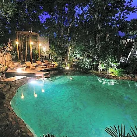Nahouse Jungle Lodge *