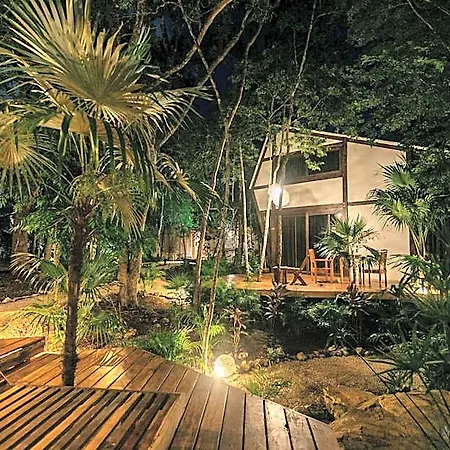 Lodge Nahouse Jungle