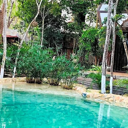 Nahouse Jungle *