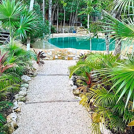 Nahouse Jungle Lodge *