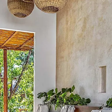 Hotel Zenses Wellness And Yoga - Adults Only Tulum