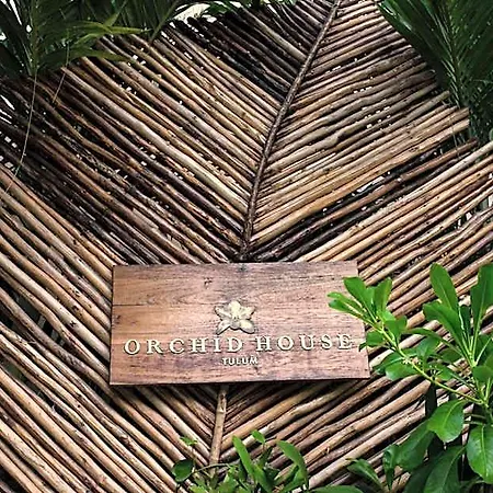 Orchid House Jungle Hotel Tulum